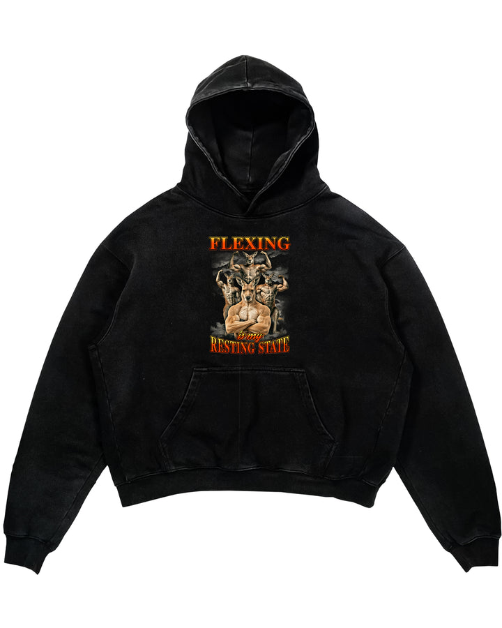 Faderland (backprint) Hoodie